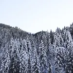 Neureiter * Viehhofen