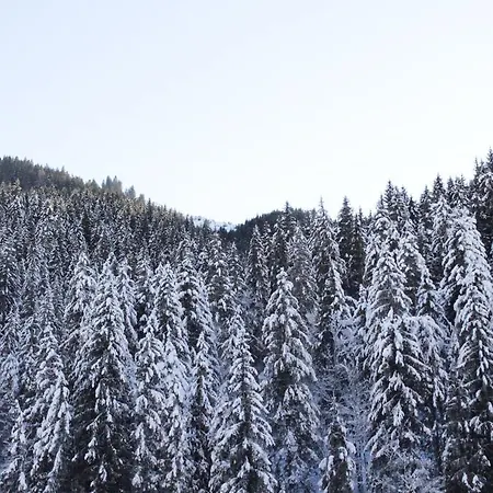 Neureiter * Viehhofen