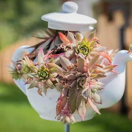 Neureiter * Viehhofen